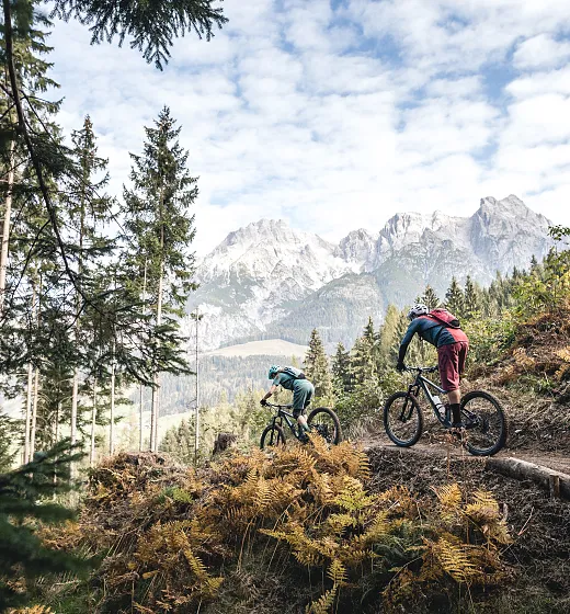 Mountain bike cycling holiday in Leogang – Biohotel Rupertus